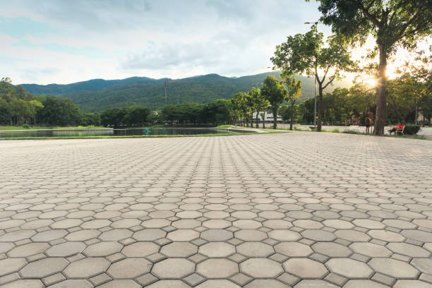 Best Concrete Paver Driveway  in Wagon Wheel, AZ